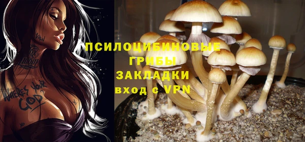 экстази Пестово