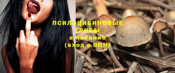 прущие грибы Артём