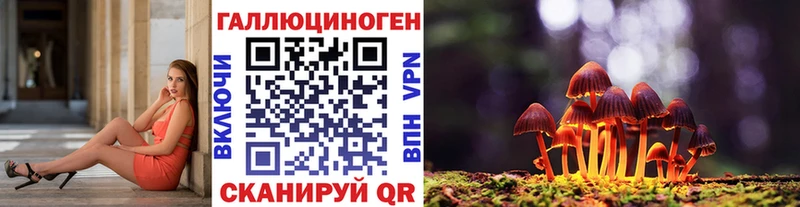 Псилоцибиновые грибы Psilocybine cubensis  где купить   ссылка на мегу маркетплейс  Пойковский 